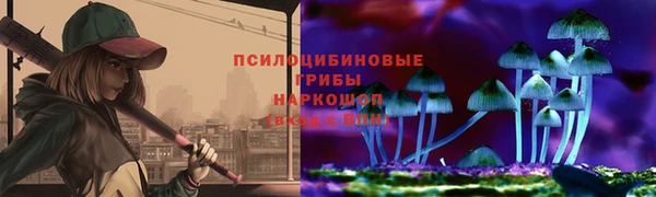 spice Костерёво