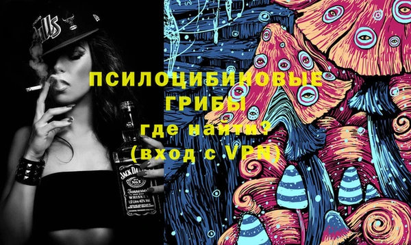 spice Костерёво