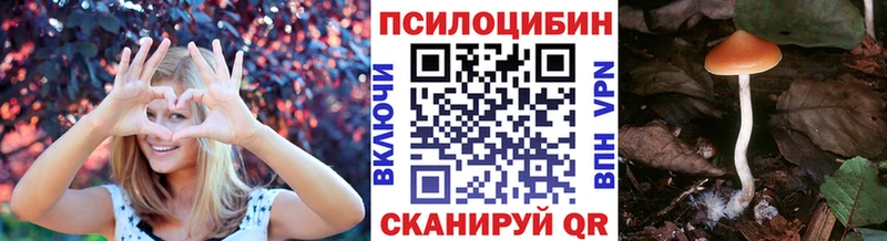 Псилоцибиновые грибы Psilocybe  Нюрба 